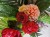 20251009_125201.jpg